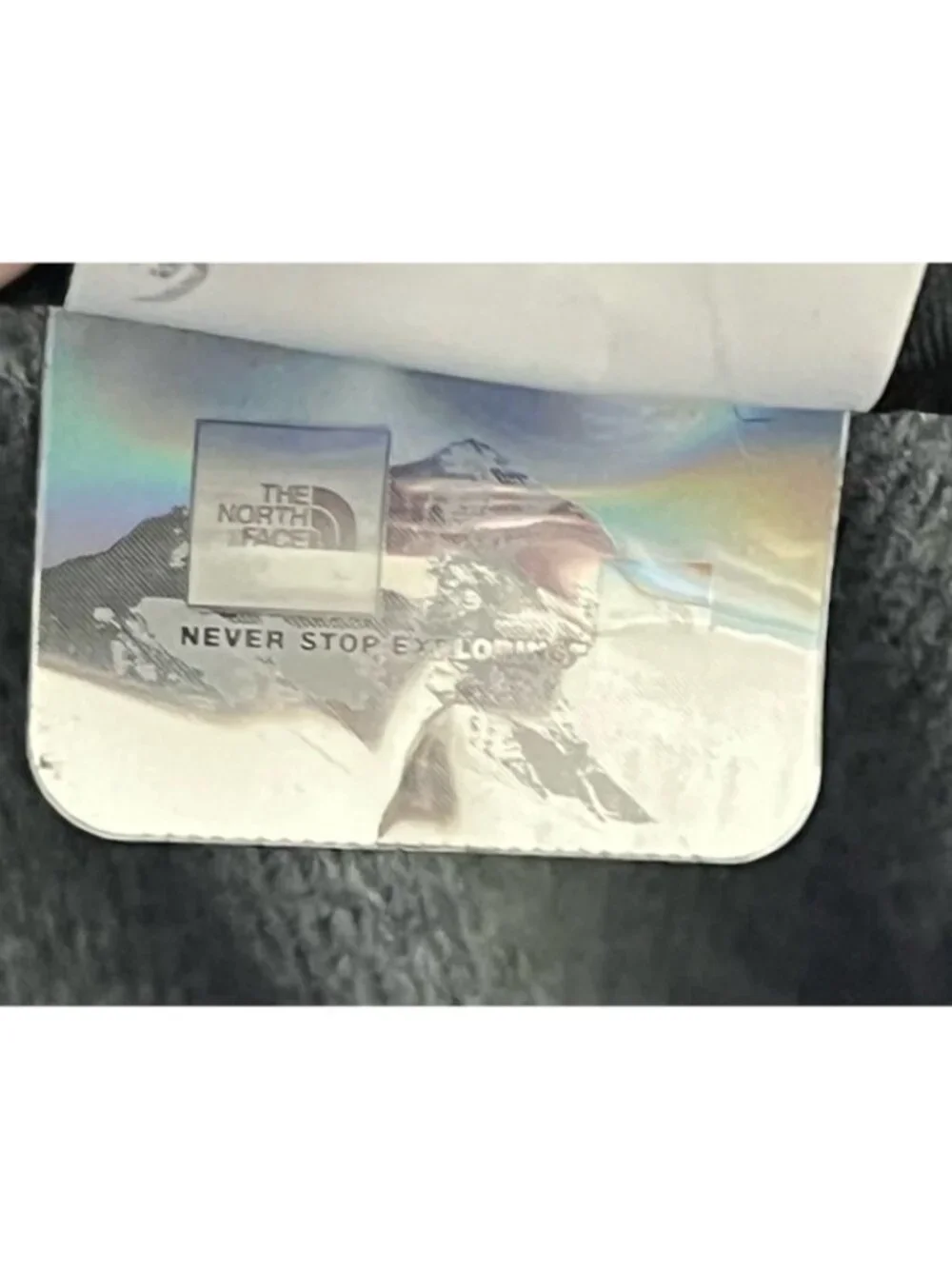 The North Face north face